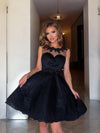 Ronia noire