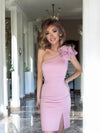 Albania mini rose poudré